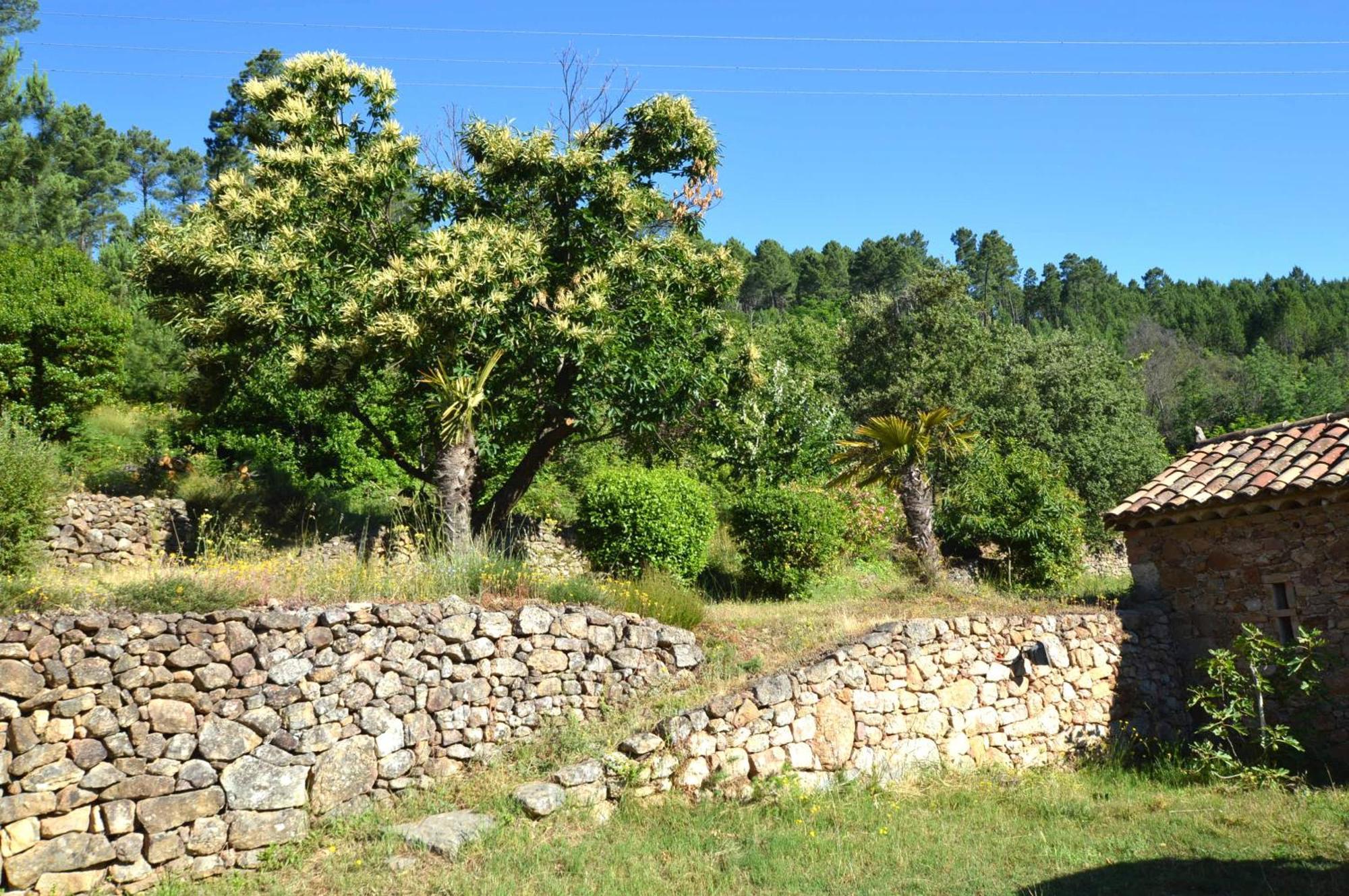 Bed and Breakfast Mas Des Druilles Generargues Exterior foto